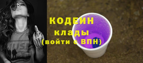 ПСИЛОЦИБИНОВЫЕ ГРИБЫ Вяземский