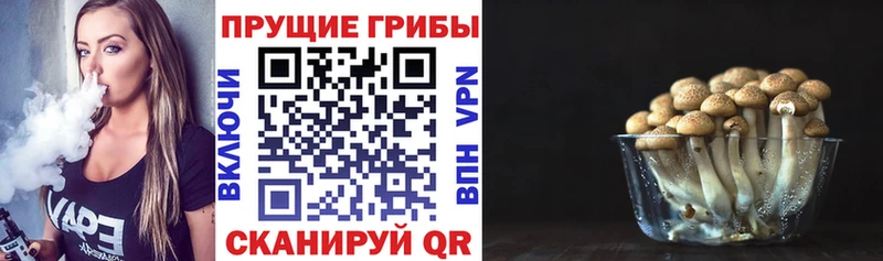 Купить  Лесосибирск  Галлюциногенные грибы GOLDEN TEACHER 